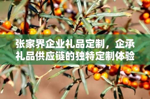 张家界企业礼品定制，企承礼品供应链的独特定制体验