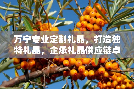万宁专业定制礼品，打造独特礼品，企承礼品供应链卓越服务